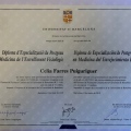 Acercar imagen: certificate 16