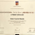 Acercar imagen: certificate 7
