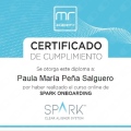Acercar imagen: certificate 5