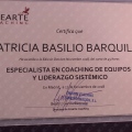 Acercar imagen: certificate 5