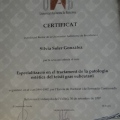 Acercar imagen: certificate 8