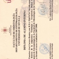 Acercar imagen: certificate 2