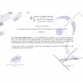 Acercar imagen: certificate 9