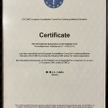Acercar imagen: certificate 3