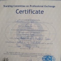 Acercar imagen: certificate 7