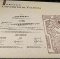 Acercar imagen: certificate 5