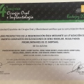 Acercar imagen: certificate 11