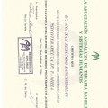 Acercar imagen: certificate 3