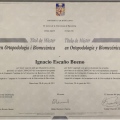 Acercar imagen: certificate 11