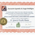Acercar imagen: certificate 2