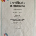 Acercar imagen: certificate 29