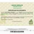 Acercar imagen: certificate 13