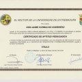 Acercar imagen: certificate 12