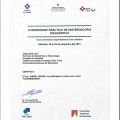 Acercar imagen: certificate 7