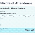 Acercar imagen: certificate 19