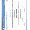 Acercar imagen: certificate 28