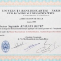 Acercar imagen: certificate 3