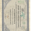 Acercar imagen: certificate 4