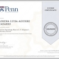 Acercar imagen: certificate 9