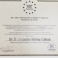 Acercar imagen: certificate 8