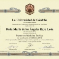 Acercar imagen: certificate 4