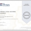 Acercar imagen: certificate 10