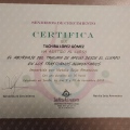 Acercar imagen: certificate 1