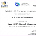 Acercar imagen: certificate 3
