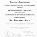 Acercar imagen: certificate 11