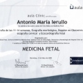 Acercar imagen: certificate 3