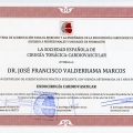 Acercar imagen: certificate 6