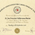 Acercar imagen: certificate 8