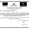 Acercar imagen: certificate 39