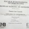 Acercar imagen: certificate 3