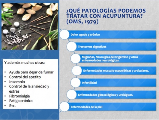 Alicia Fernández Núñez-4