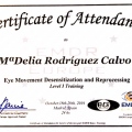 Acercar imagen: certificate 19