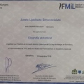 Acercar imagen: certificate 23