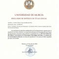 Acercar imagen: certificate 1