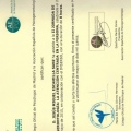 Acercar imagen: certificate 16