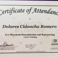 Acercar imagen: certificate 5
