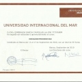Acercar imagen: certificate 14