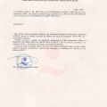 Acercar imagen: certificate 2