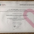 Acercar imagen: certificate 6