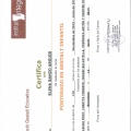 Acercar imagen: certificate 3