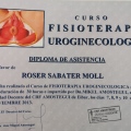 Acercar imagen: certificate 9