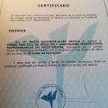 Acercar imagen: certificate 5