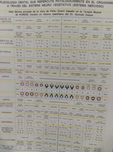 Josefina Arce Llupia-20