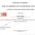 Acercar imagen: certificate 9