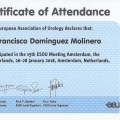 Acercar imagen: certificate 2