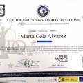 Acercar imagen: certificate 10